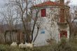 The Windmill in Skala Eressos